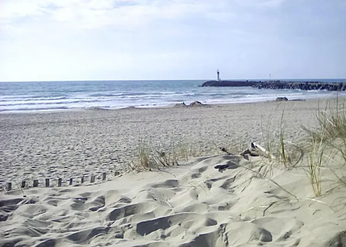Le Jardin De La Palmeraie Cap D'agde * Agde